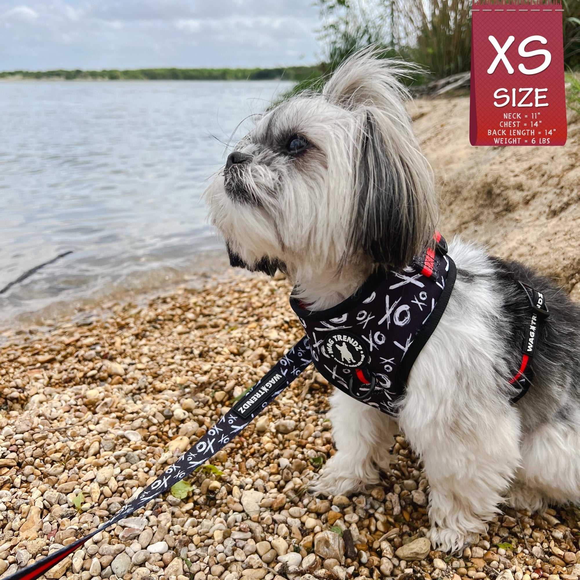 Dog Harness Vests - Adjustable - Front Clip - cute black and white small dog wearing black harness with white XO&#39;s and red accents with matching dog leash - outside with a lake in the background - Wag Trendz