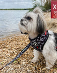 Dog Harness Vests - Adjustable - Front Clip - cute black and white small dog wearing black harness with white XO's and red accents with matching dog leash - outside with a lake in the background - Wag Trendz