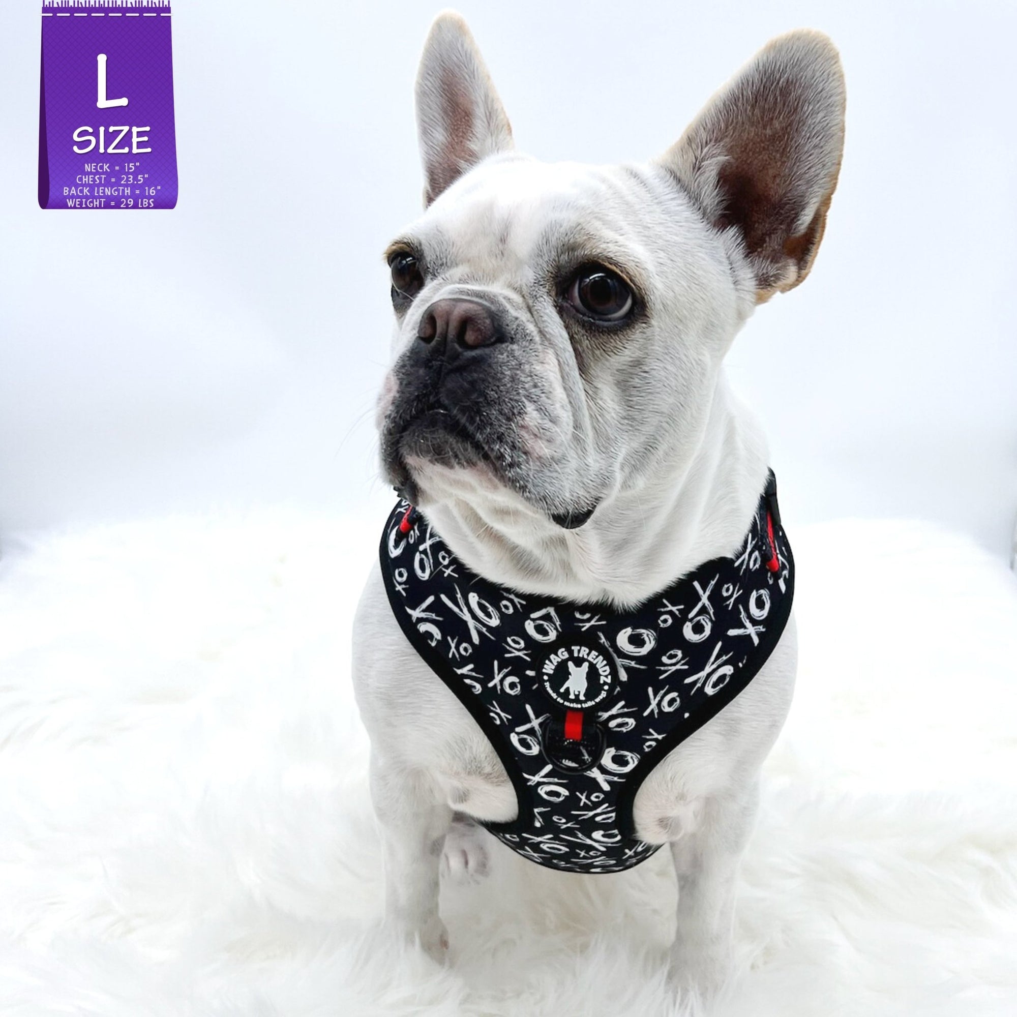 Dog Harness Vest - Adjustable - Front Clip - worn by cute white Frenchie Bulldog wearing black with white XO&#39;s with red accents - front view - against a solid white background - Wag Trendz