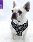 Dog Harness Vest - Adjustable - Front Clip - worn by cute white Frenchie Bulldog wearing black with white XO's with red accents - front view - against a solid white background - Wag Trendz