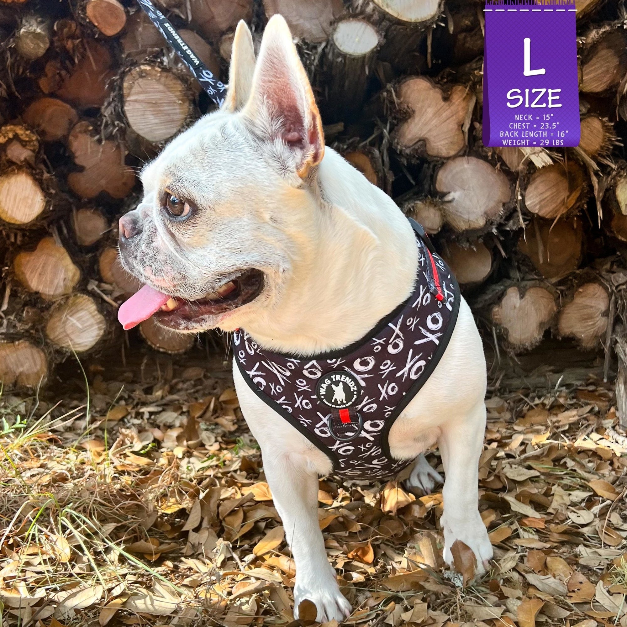 Dog Harness Vest - Adjustable - Front Clip - on a French Bulldog wearing black with white XO&#39;s with red accents - standing outside in front of wood pile and leaves - Wag Trendz