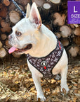 Dog Harness Vest - Adjustable - Front Clip - on a French Bulldog wearing black with white XO's with red accents - standing outside in front of wood pile and leaves - Wag Trendz