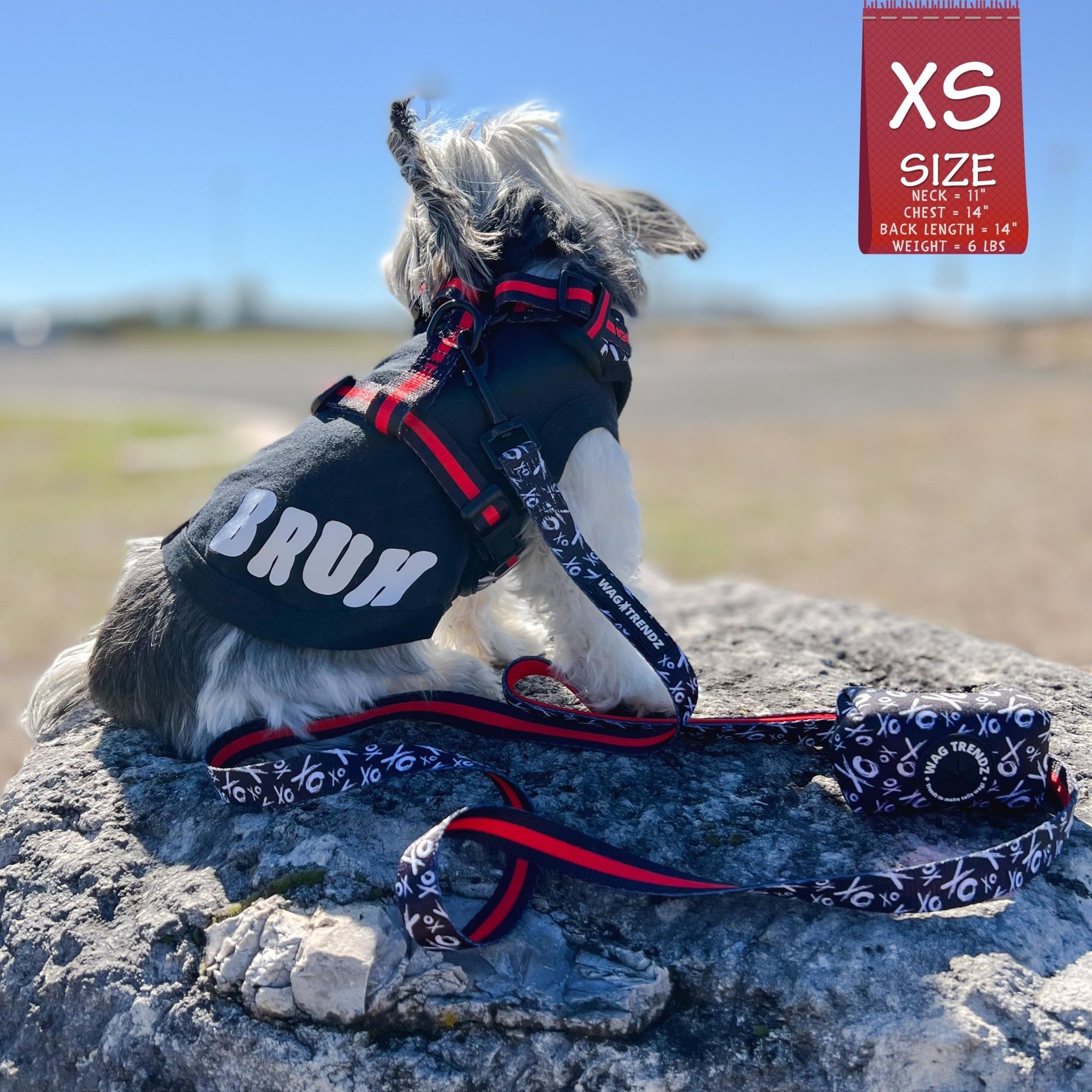 Dog Harness Vest - Adjustable - Front Clip - Little dog wearing black with white XO&#39;s with red accents  and Bruh graphic dog tank- back view - sitting on a rock - Wag Trendz
