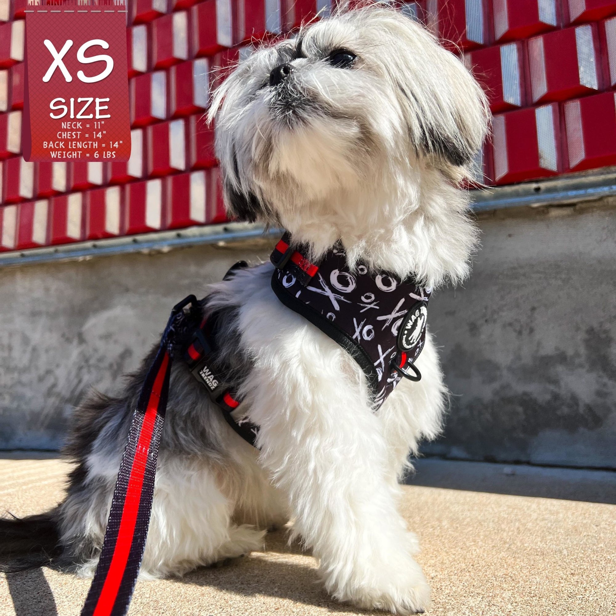 Dog Harness Vests - Adjustable - Front Clip - cute black and white small dog wearing black harness with white XO&#39;s and red accents with matching dog leash - outside with red wall and concrete background - Wag Trendz