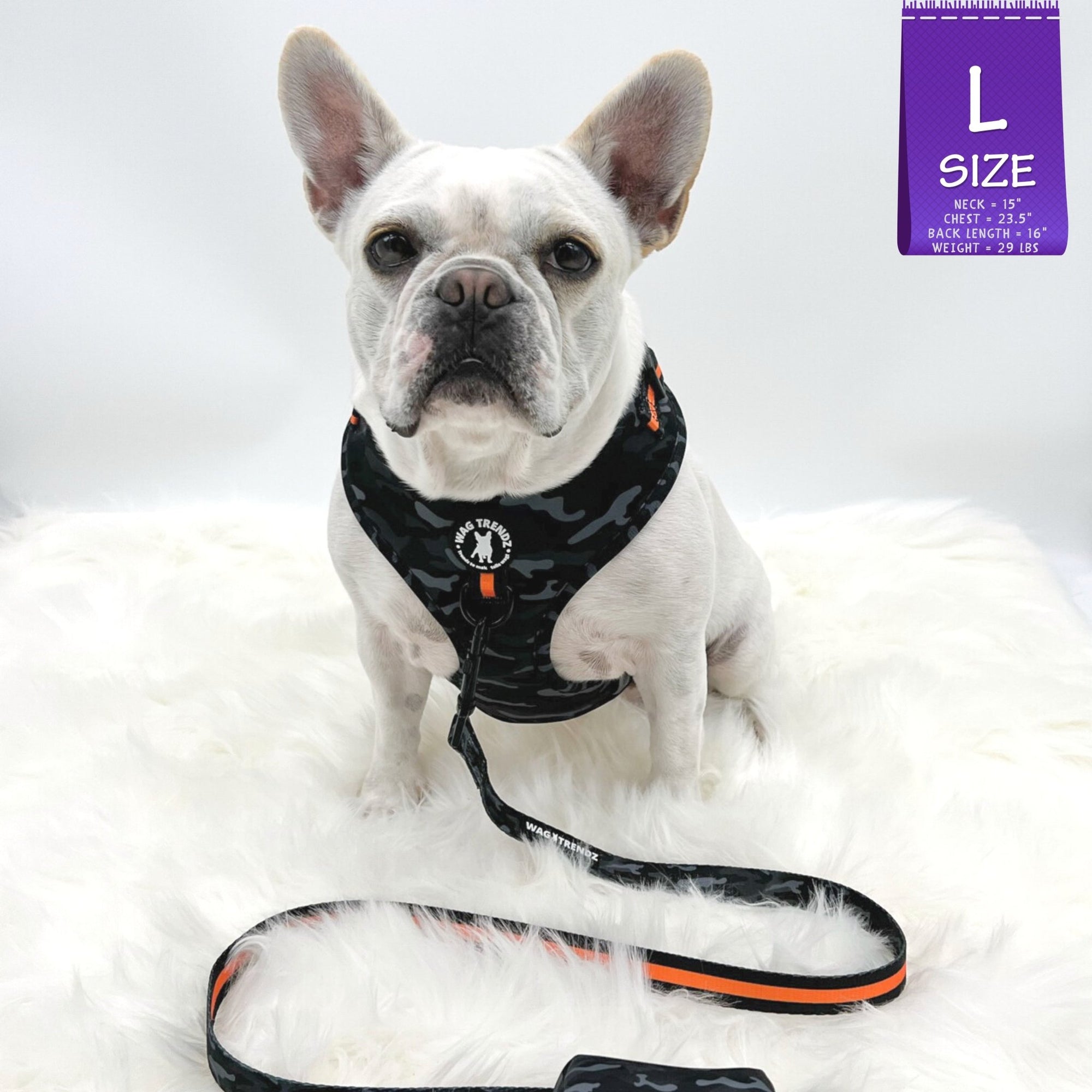 No Pull Dog Harness - French Bulldog wearing black and gray camo dog adjustable harness with front clip and orange accents and matching leash attached - against solid white background - Wag Trendz