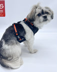 No Pull Dog Harness - Shih Tzu mix wearing black and gray camo dog adjustable harness with orange accents - against solid white background - Wag Trendz