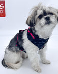 No Pull Dog Harness -  Shih Tzu mix wearing black and gray camo adjustable harness with hot pink accents and a front clip for pull training - against a solid white background - Wag Trendz
