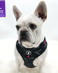No Pull Dog Harness -  French Bulldog wearing black and gray camo adjustable harness with hot pink accents and a front clip for pull training - against a solid white background - Wag Trendz