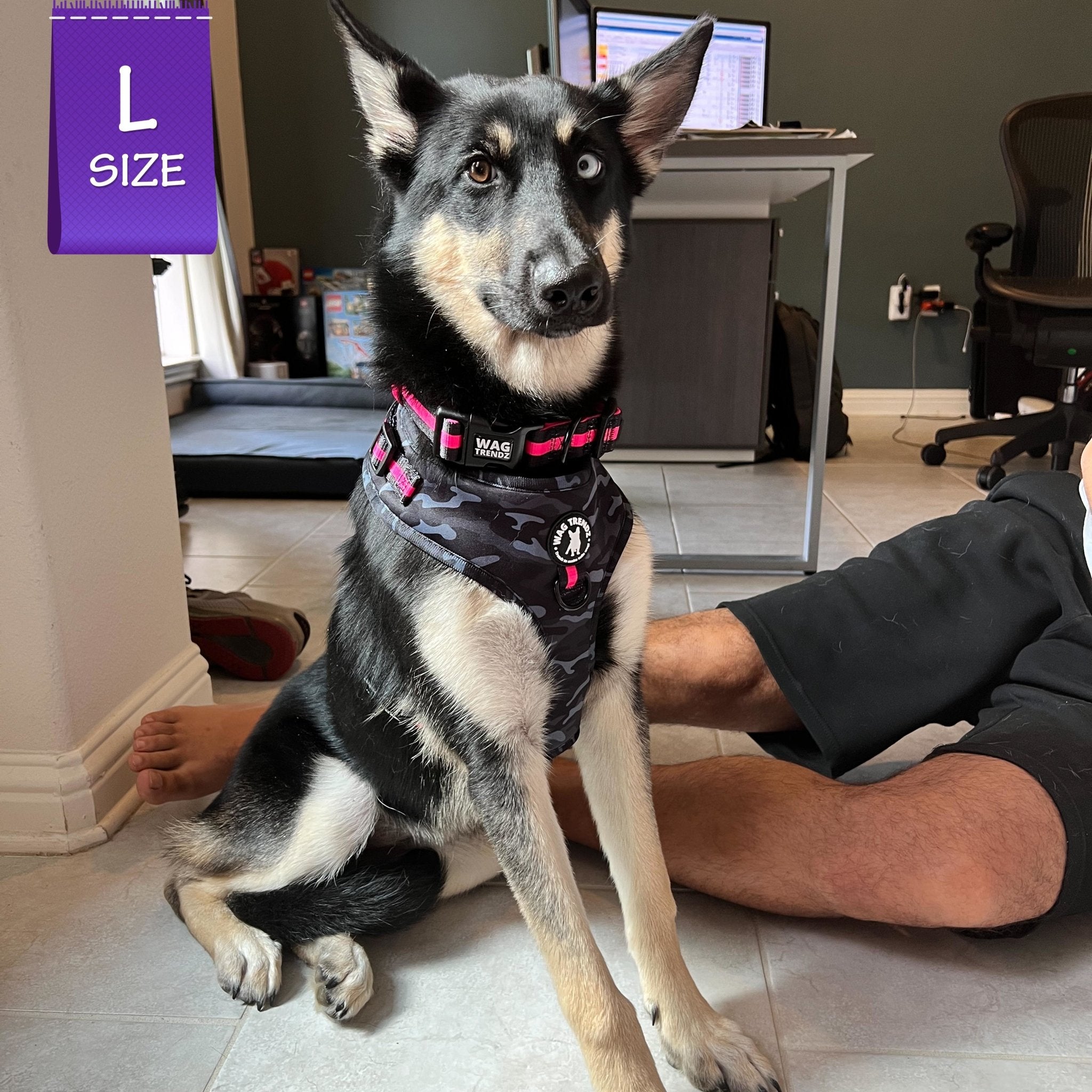 Pink camo shop dog vest