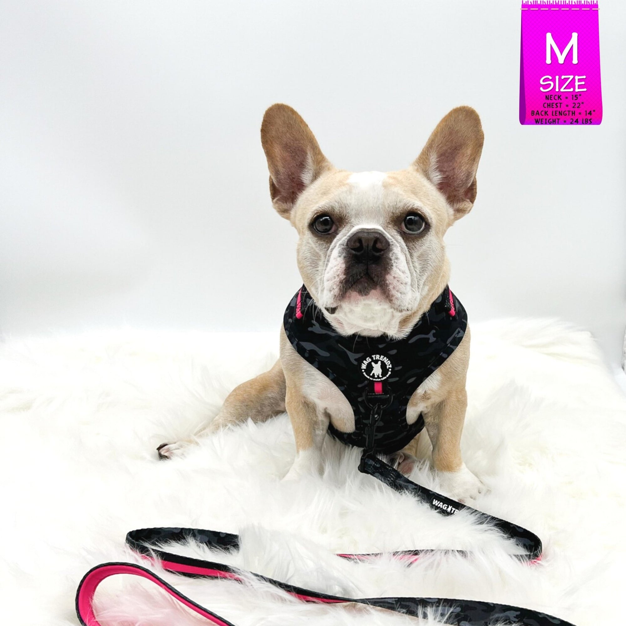 No Pull Dog Harness - Frenchie Bulldog wearing black and gray camo adjustable harness with hot pink accents with matching leash attached and a front clip for pull training - against a solid white background - Wag Trendz