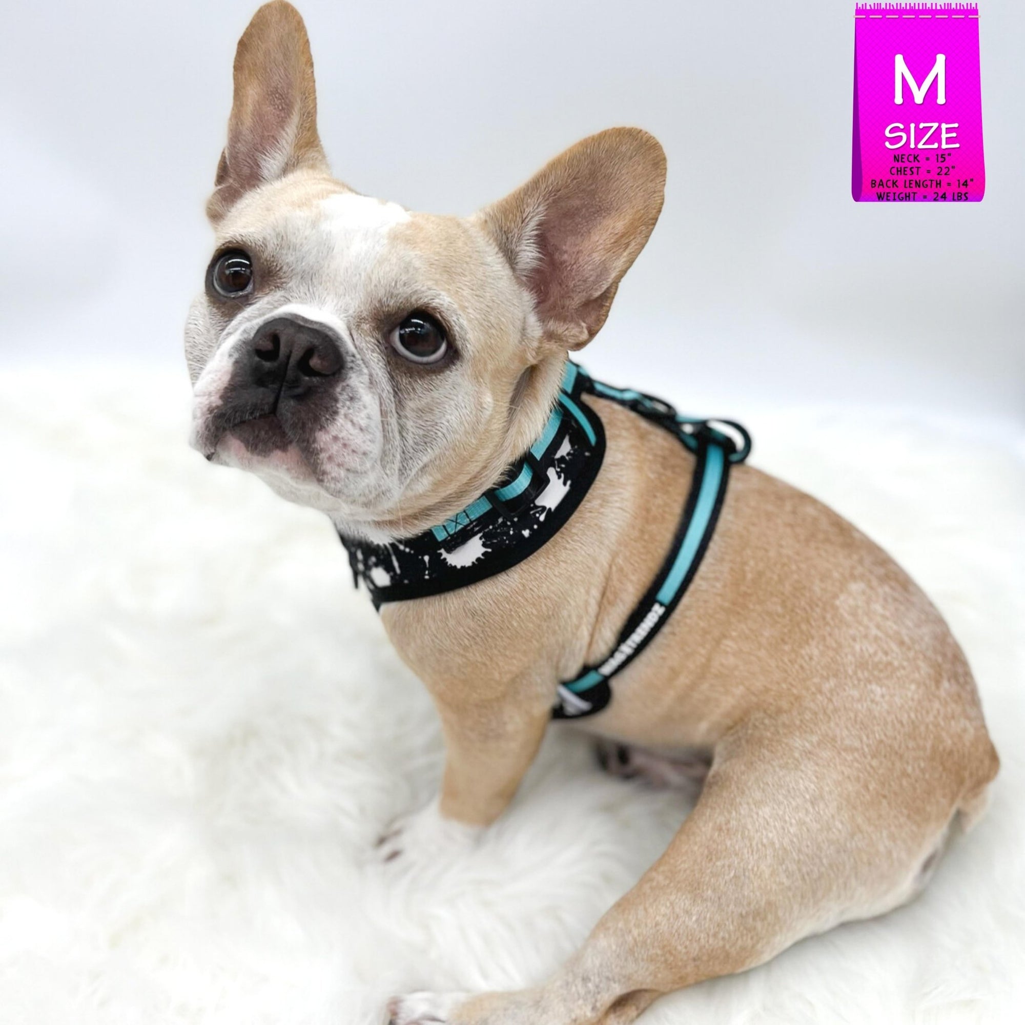 No Pull Dog Harness - French Bulldog wearing black adjustable harness with white paint splatter and teal accents - against a solid white background -  Wag Trendz