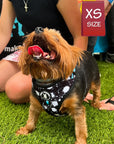 No Pull Dog Harness - Yorkshire Terrier wearing black adjustable harness with white paint splatter and teal accents - front clip for no pull training - standing outdoors in the grass - Wag Trendz