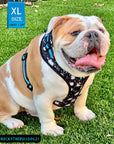 No Pull Dog Harness - English Bulldog wearing black adjustable harness with white paint splatter and teal accents - front clip for no pull training - sitting outdoors in the grass - Wag Trendz