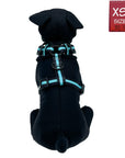 No Pull Dog Harness - black stuffed dog model wearing black adjustable harness with white paint splatter and teal accents - against a solid white background - Wag Trendz