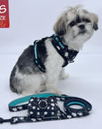 No Pull Dog Harness - Shih Tzu mix wearing black adjustable harness - white paint splatter and teal accents with matching dog leash and poo bag holder  - against a solid white background - Wag Trendz