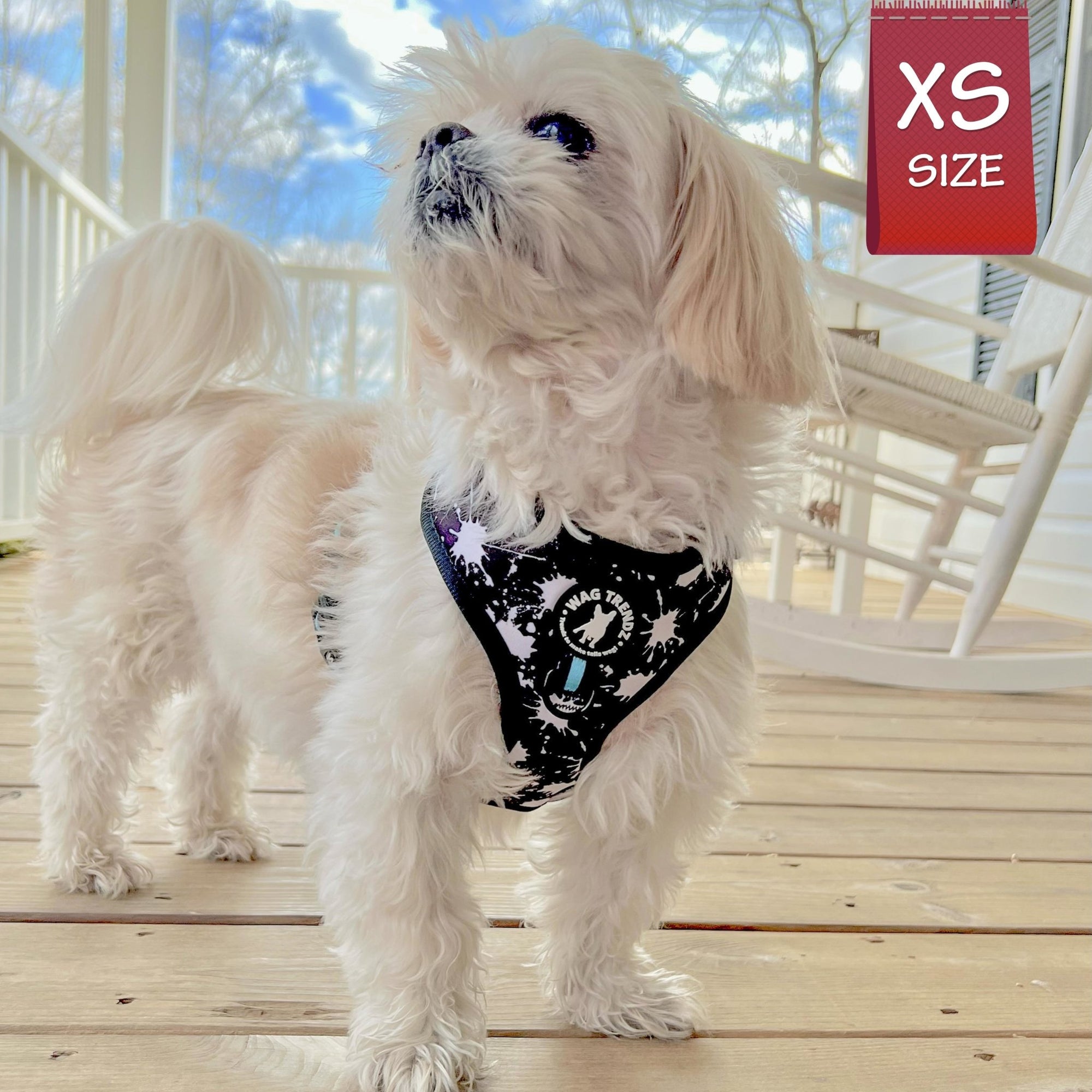 No Pull Dog Harness - Shih Tzu wearing black adjustable harness with white paint splatter and teal accents - front clip for no pull training - standing outdoors on a wood deck - Wag Trendz