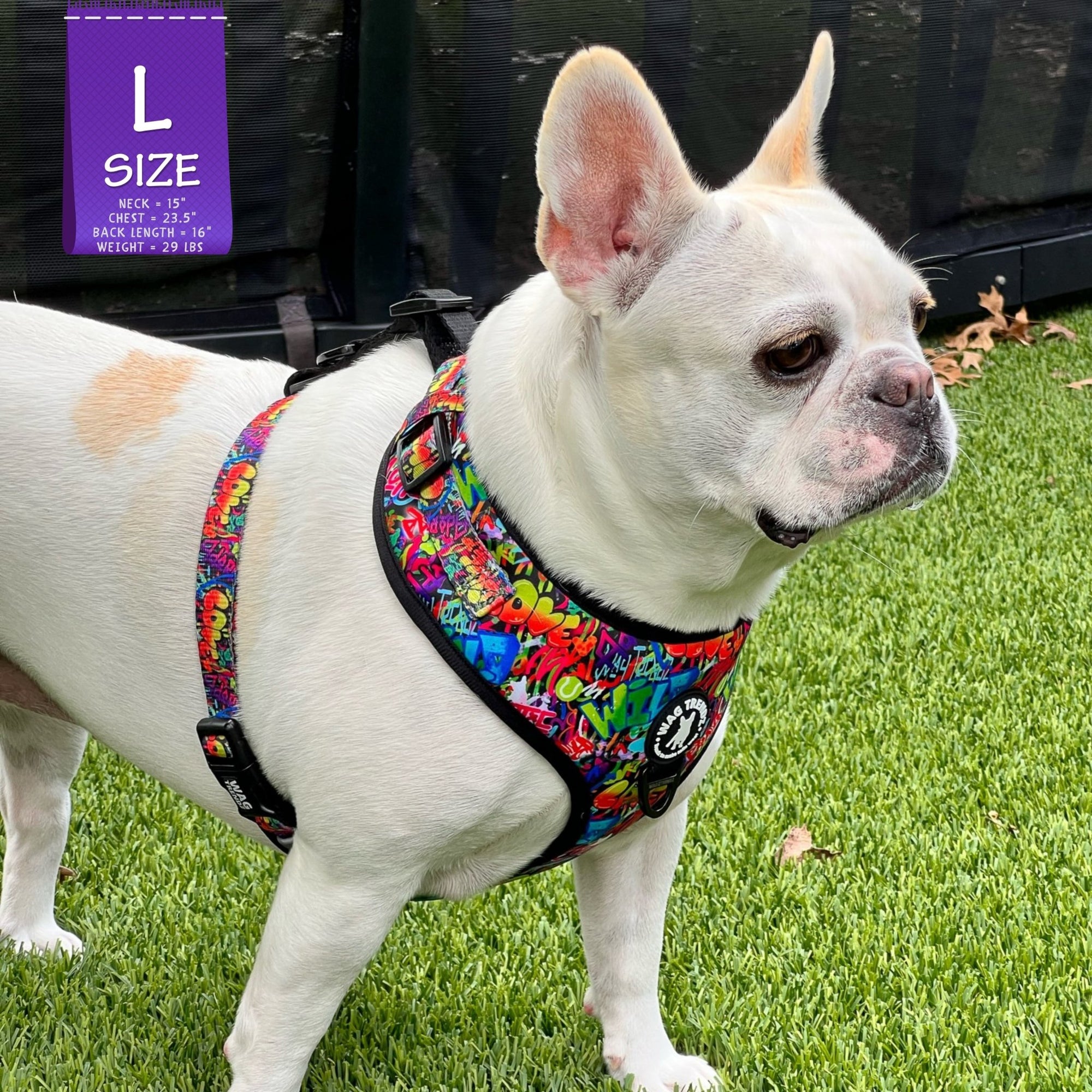 No Pull Dog Harness - Adjustable - Front Clip - worn by cute white Frenchie Bulldog standing in the grass - multi-colored street graffiti design - Wag Trendz