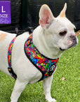 No Pull Dog Harness - Adjustable - Front Clip - worn by cute white Frenchie Bulldog standing in the grass - multi-colored street graffiti design - Wag Trendz