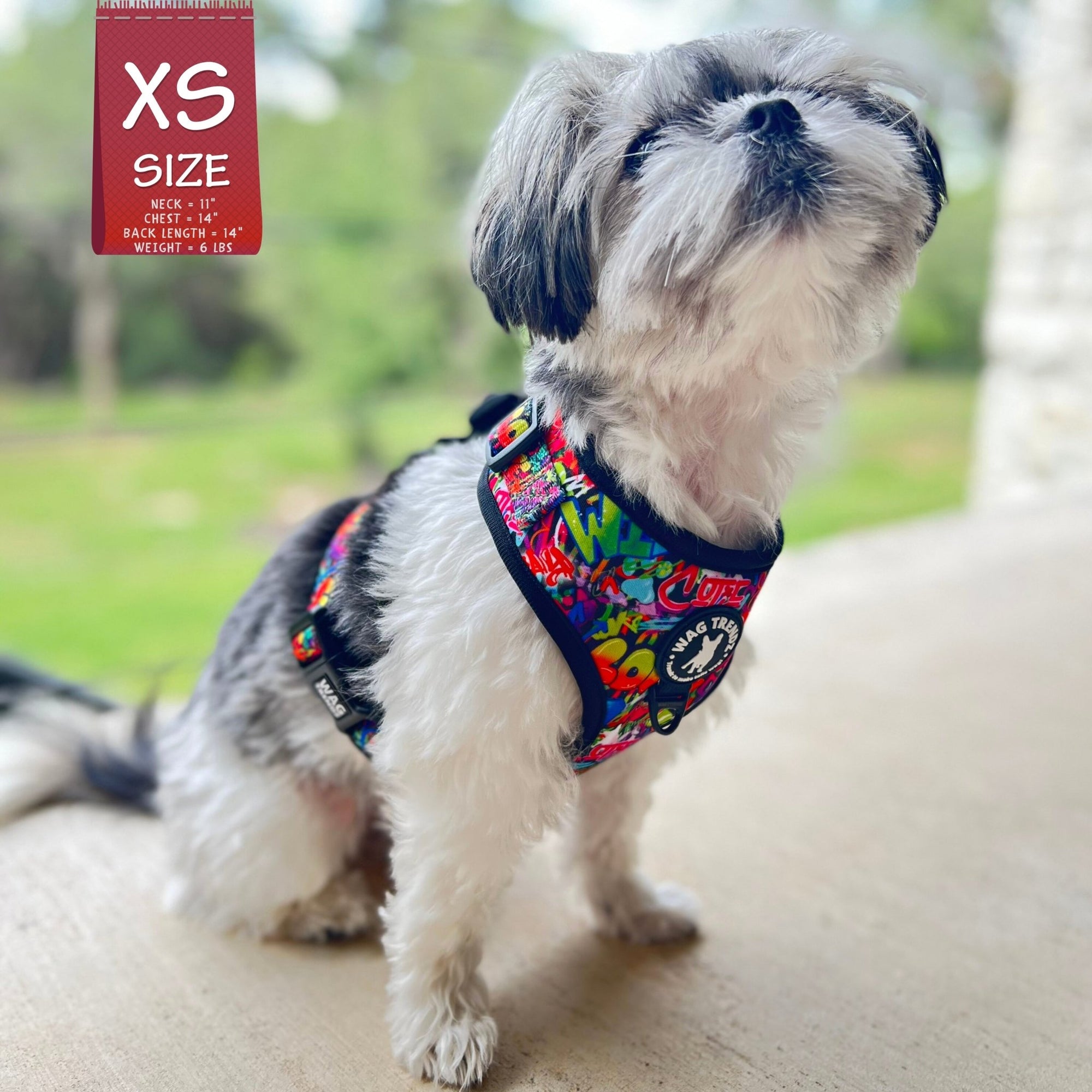 No Pull Dog Harness - Adjustable - Front Clip - worn by cute small dog sitting outside - multi-colored street graffiti on dog harness - Wag Trendz