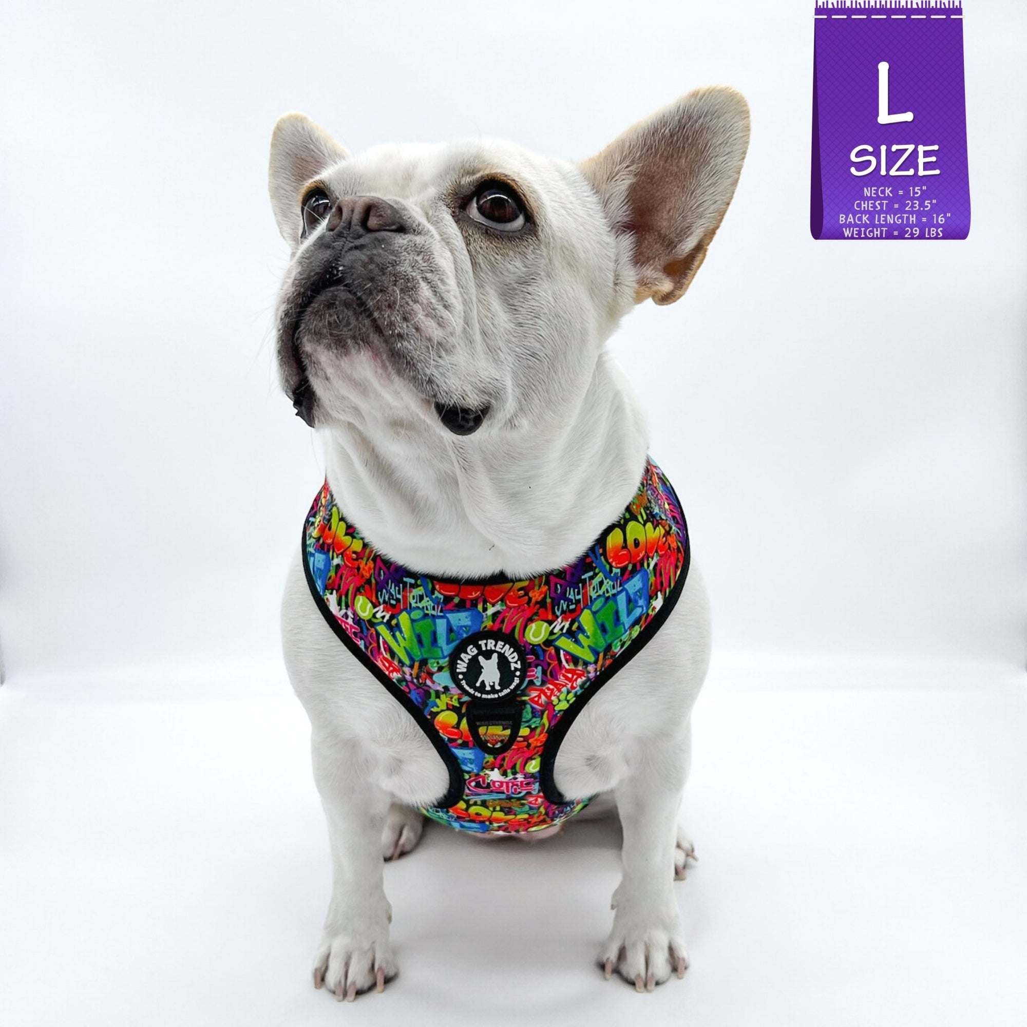 No Pull Dog Harness - Adjustable - Front Clip - worn by cute white Frenchie Bulldog - multi-colored street graffiti design against solid white background - front view - Wag Trendz