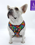 No Pull Dog Harness - Adjustable - Front Clip - worn by cute white Frenchie Bulldog - multi-colored street graffiti design against solid white background - front view - Wag Trendz