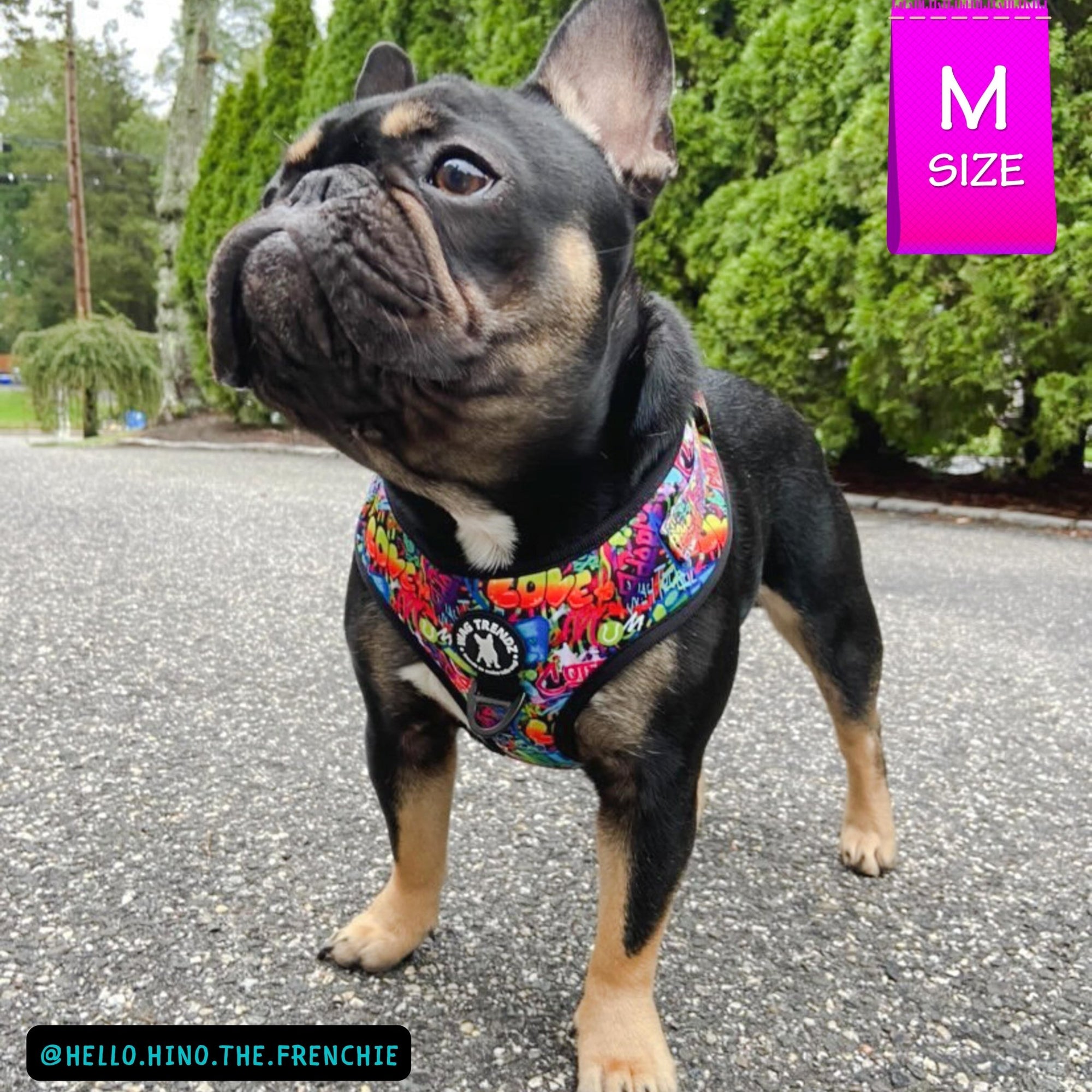 No Pull Dog Harness - Adjustable - Front Clip - worn by cute black French Bulldog standing outside - multi-colored street graffiti design - Wag Trendz