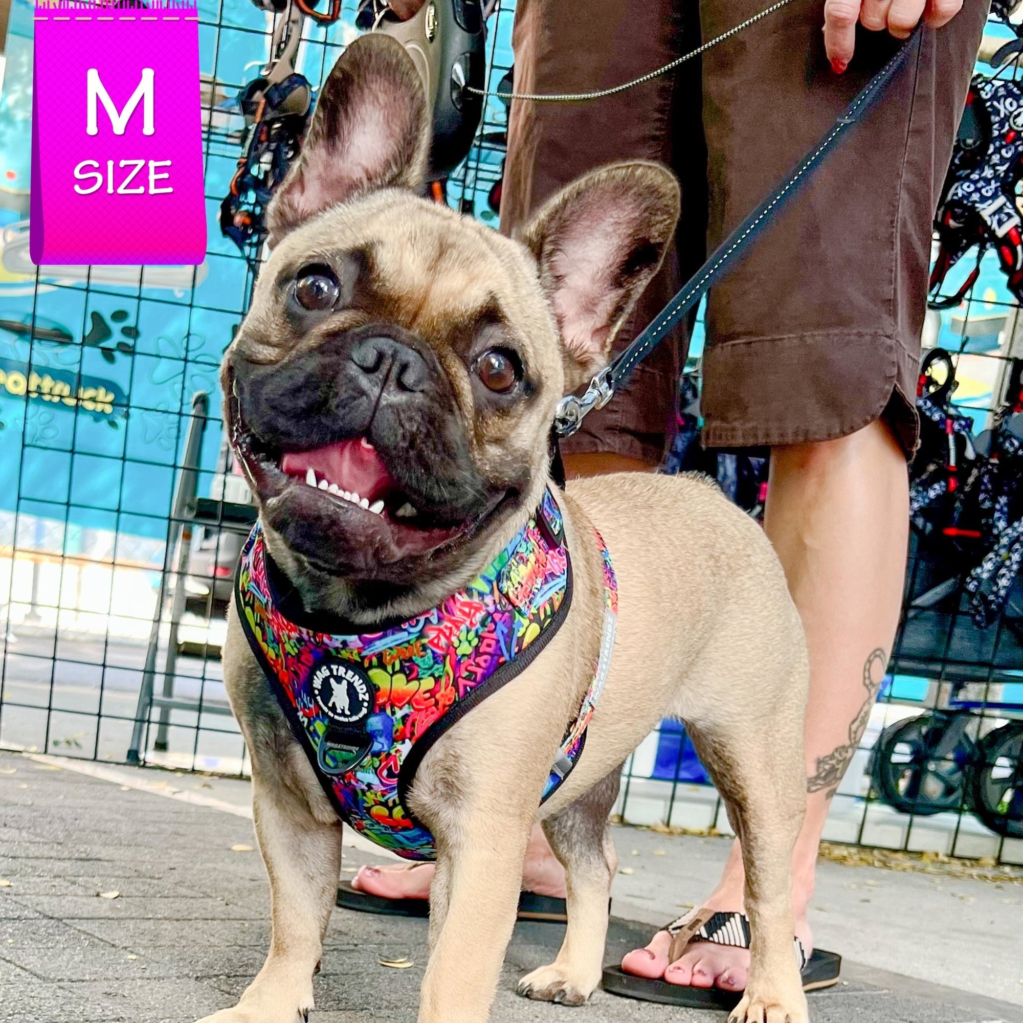 No Pull Dog Harness - Adjustable - Front Clip - worn by cute French Bulldog standing outside - multi-colored street graffiti design - Wag Trendz