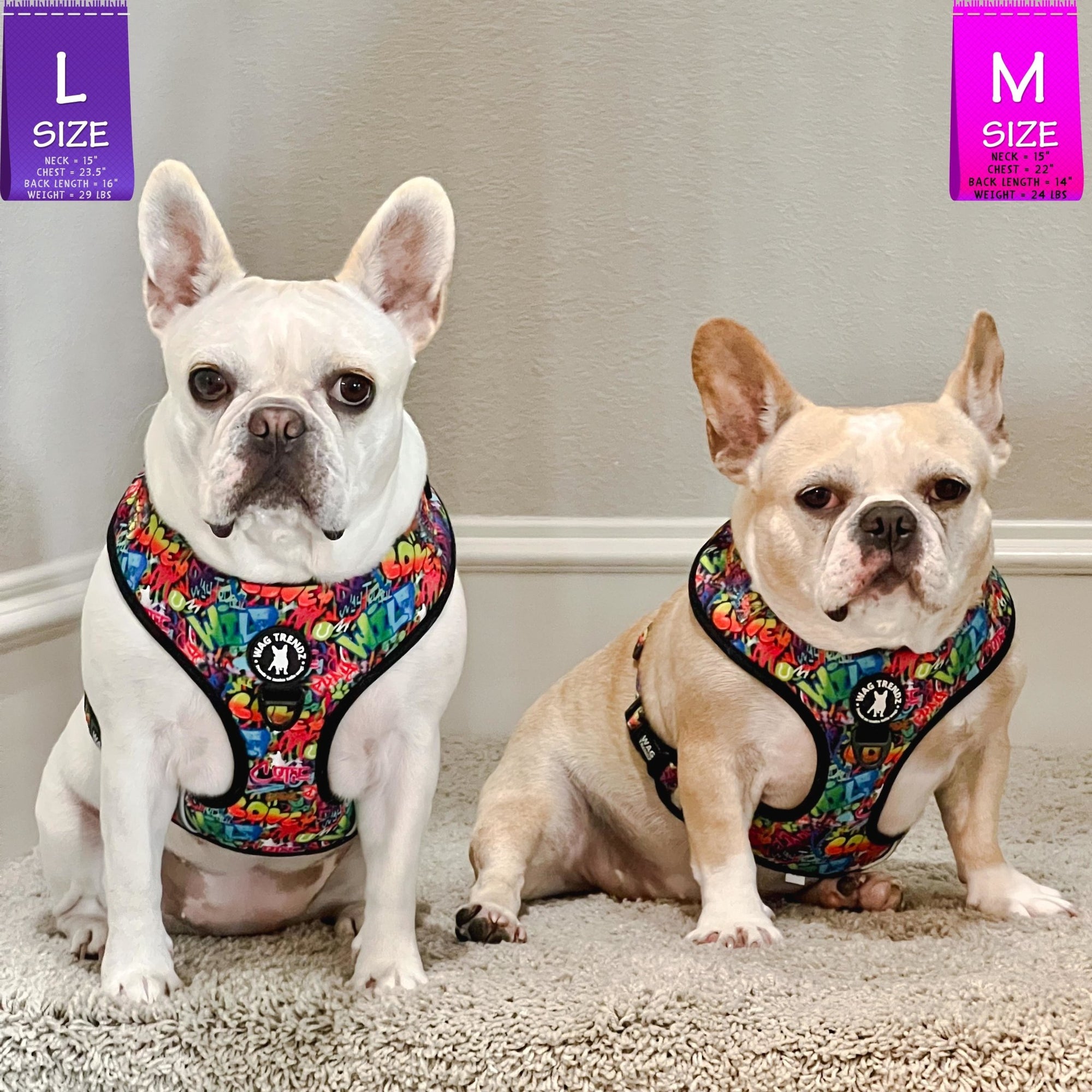 No Pull Dog Harness - Adjustable - Front Clip - worn by two cute French Bulldogs sitting indoors - multi-colored street graffiti design - Wag Trendz