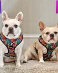 No Pull Dog Harness - Adjustable - Front Clip - worn by two cute French Bulldogs sitting indoors - multi-colored street graffiti design - Wag Trendz