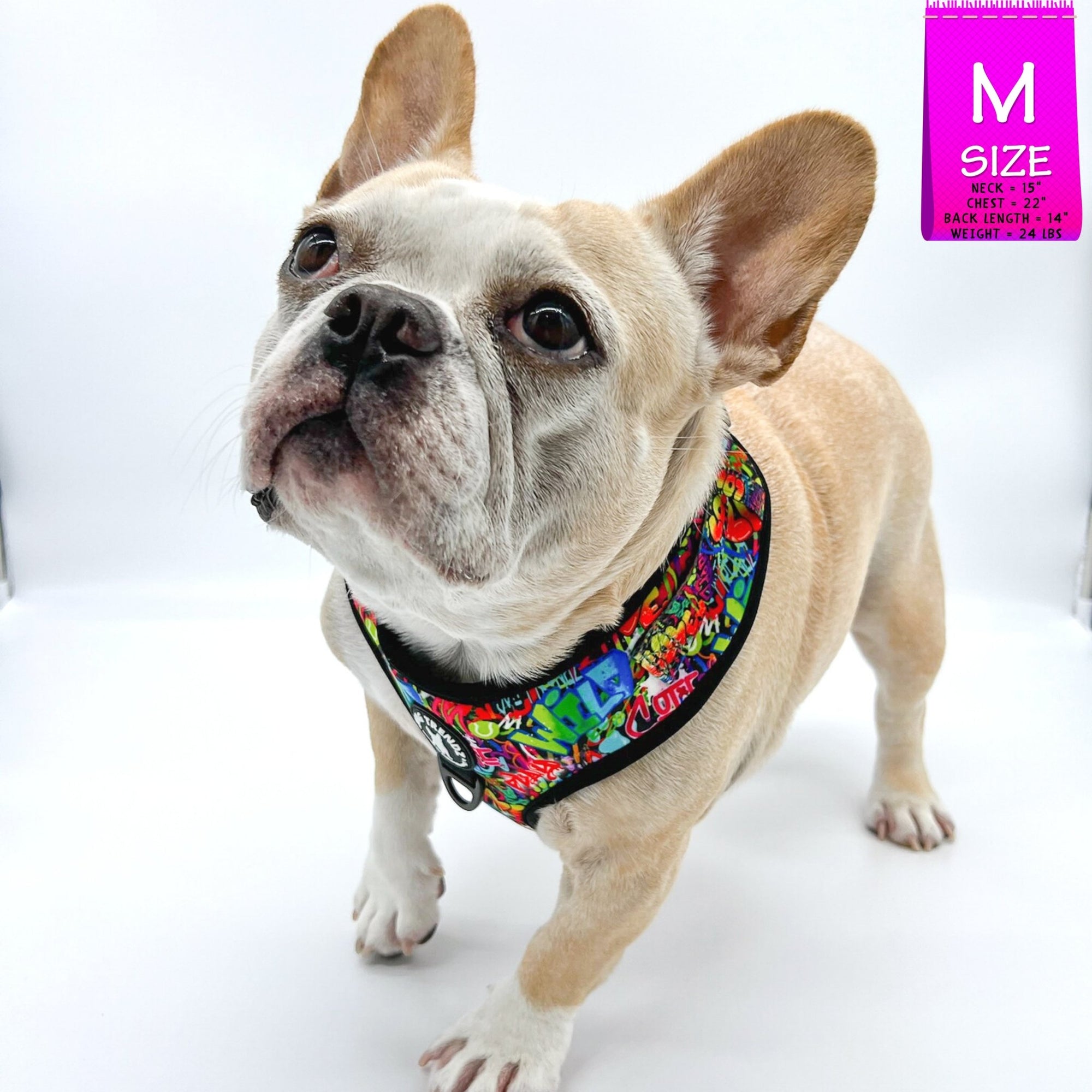 No Pull Dog Harness - Adjustable - Front Clip - worn by cute fawn colored Frenchie Bulldog against solid white background - wearing multi-colored street graffiti design - Wag Trendz