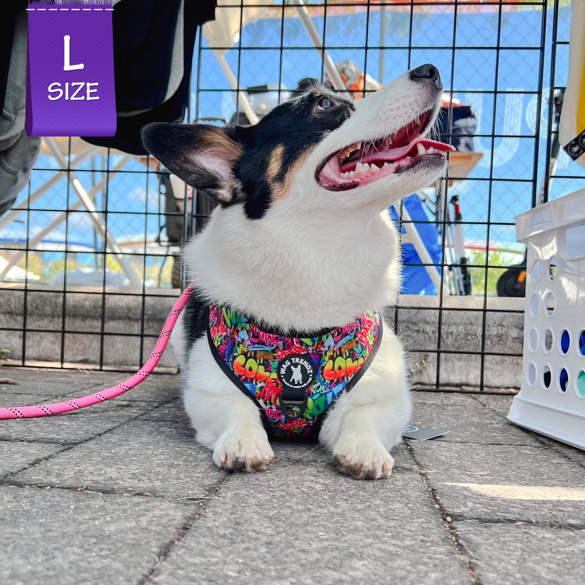 No Pull Dog Harness - Adjustable - Front Clip - worn by cute Corgi sitting outside - multi-colored street graffiti design - Wag Trendz