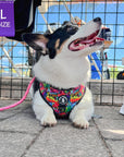 No Pull Dog Harness - Adjustable - Front Clip - worn by cute Corgi sitting outside - multi-colored street graffiti design - Wag Trendz