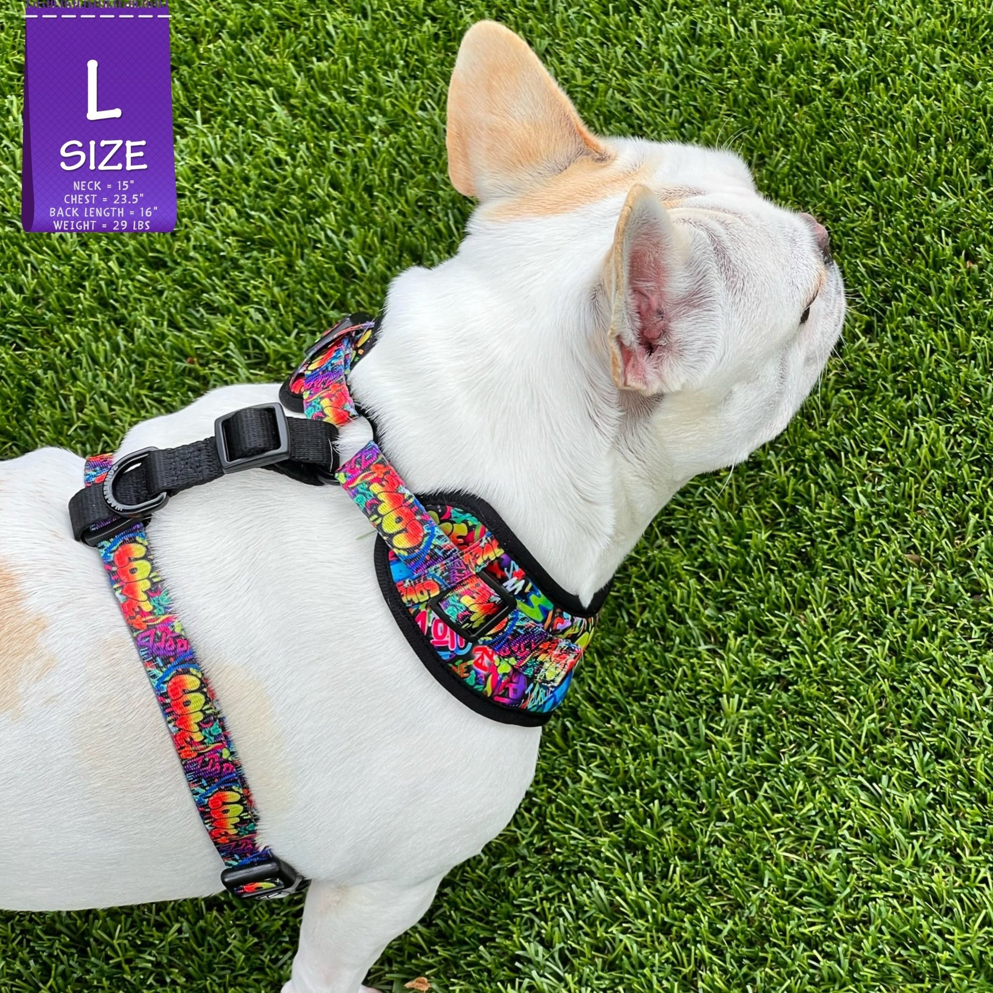 No Pull Dog Harness - Adjustable - Front Clip - worn by cute white Frenchie Bulldog standing in the grass - multi-colored street graffiti design - Wag Trendz