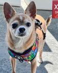 No Pull Dog Harness - Adjustable - Front Clip - worn by cute Chihuahua standing outside - multi-colored street graffiti design - Wag Trendz