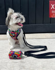 No Pull Dog Harness - Adjustable - Front Clip - worn by cute Shih Tzu mix sitting outside - multi-colored street graffiti design - Wag Trendz