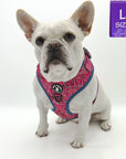 Dog Harness Vest - Adjustable - French Bulldog wearing Bandana Boujee Hot Pink Dog Harness with Denim Accents - against solid white background - Wag Trendz