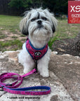 Dog Harness Vest - Adjustable - Shih Tzu wearing Bandana Boujee Hot Pink Dog Harness with Denim Accents with matching leash attached - sitting outdoors on a rock - Wag Trendz