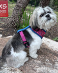 Dog Harness Vest - Adjustable - Shih Tzu wearing Bandana Boujee Hot Pink Dog Harness with Denim Accents - side view - sitting outdoors on a rock - Wag Trendz