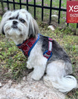 Dog Harness Vest - Adjustable - Shih Tzu wearing Red Bandana Boujee Harness with Denim Accents - a canine inspired design - sitting outdoors in the grass with black iron fence in the background  - Wag Trendz