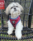 Dog Harness Vest - Adjustable - Shih Tzu wearing Red Bandana Boujee Harness with Denim Accents - a canine inspired design - sitting outdoors in a black chair  - Wag Trendz