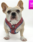 Dog Harness Vest - Adjustable - French Bulldog wearing Red Bandana Boujee Harness with Denim Accents - a canine inspired design - against solid white background - Wag Trendz