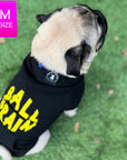 Dog Hoodie - Hoodies For Dogs - Pug wearing Ball Brain dog hoodie - black with yellow writing - sitting outdoors in the grass- Wag Trendz