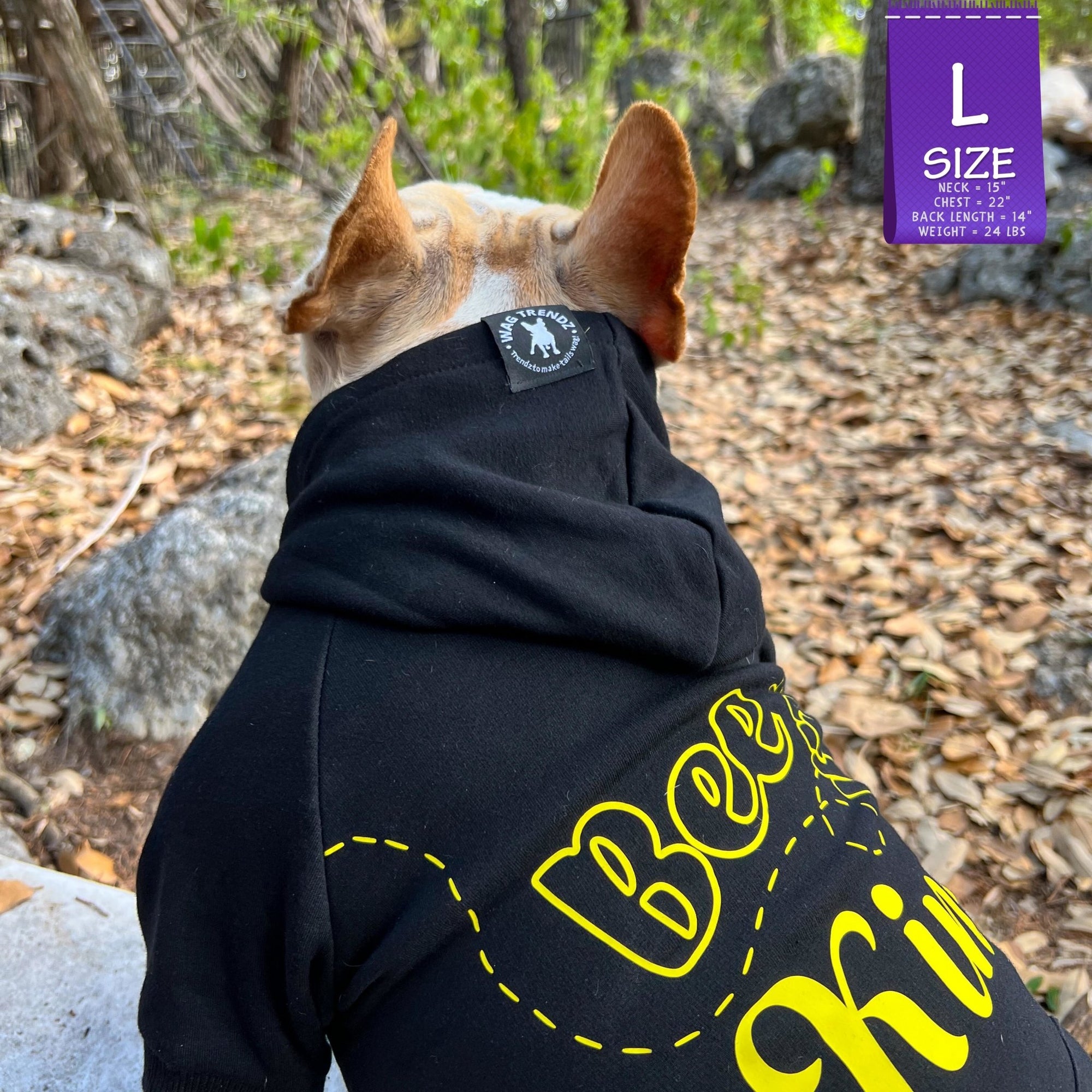 Dog Hoodie - Hoodies For Dogs - French Bulldog wearing &quot;Bee Kind&quot; dog hoodie in black with Bee Kind in yellow - sitting with back to camera outdoors against a fall background - Wag Trendz