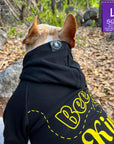 Dog Hoodie - Hoodies For Dogs - French Bulldog wearing "Bee Kind" dog hoodie in black with Bee Kind in yellow - sitting with back to camera outdoors against a fall background - Wag Trendz