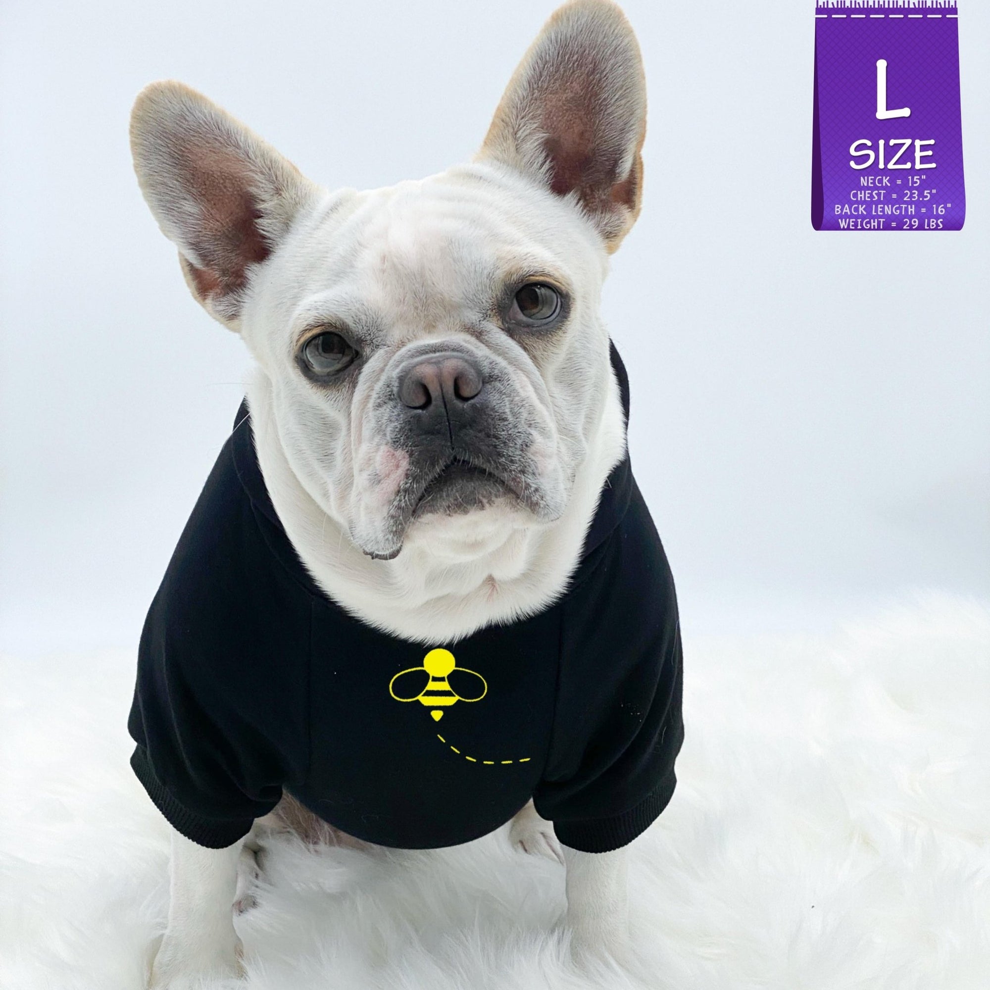 Dog Hoodie - Hoodies For Dogs - French Bulldog wearing "Bee Kind" dog hoodie in black with swarming black and yellow bee on front - against a solid white background - Wag Trendz