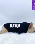 Dog Hoodie - Hoodies For Dogs - French Bulldog wearing "BRUH" dog hoodie in black with white letters down the side - laying down sleeping on a white furry rug - against solid white background - Wag Trendz