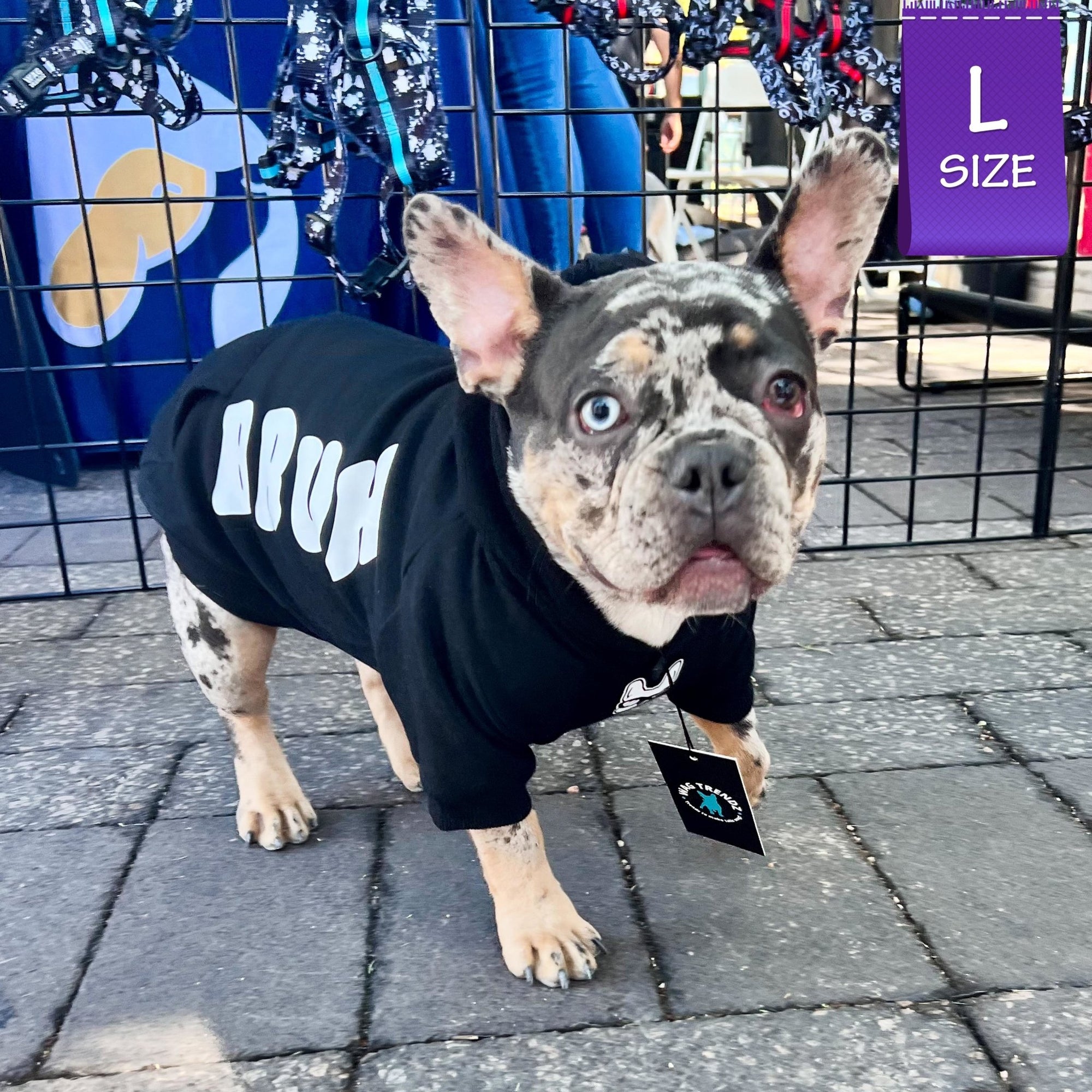 Dog Hoodie - Hoodies For Dogs - French Bulldog wearing &quot;BRUH&quot; dog hoodie in black with smirk faced Frenchie Bulldog with sunglasses on the front in white - standing outdoors on concrete pavers - Wag Trendz