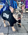 Dog Hoodie - Hoodies For Dogs - French Bulldog wearing "BRUH" dog hoodie in black with smirk faced Frenchie Bulldog with sunglasses on the front in white - standing outdoors on concrete pavers - Wag Trendz