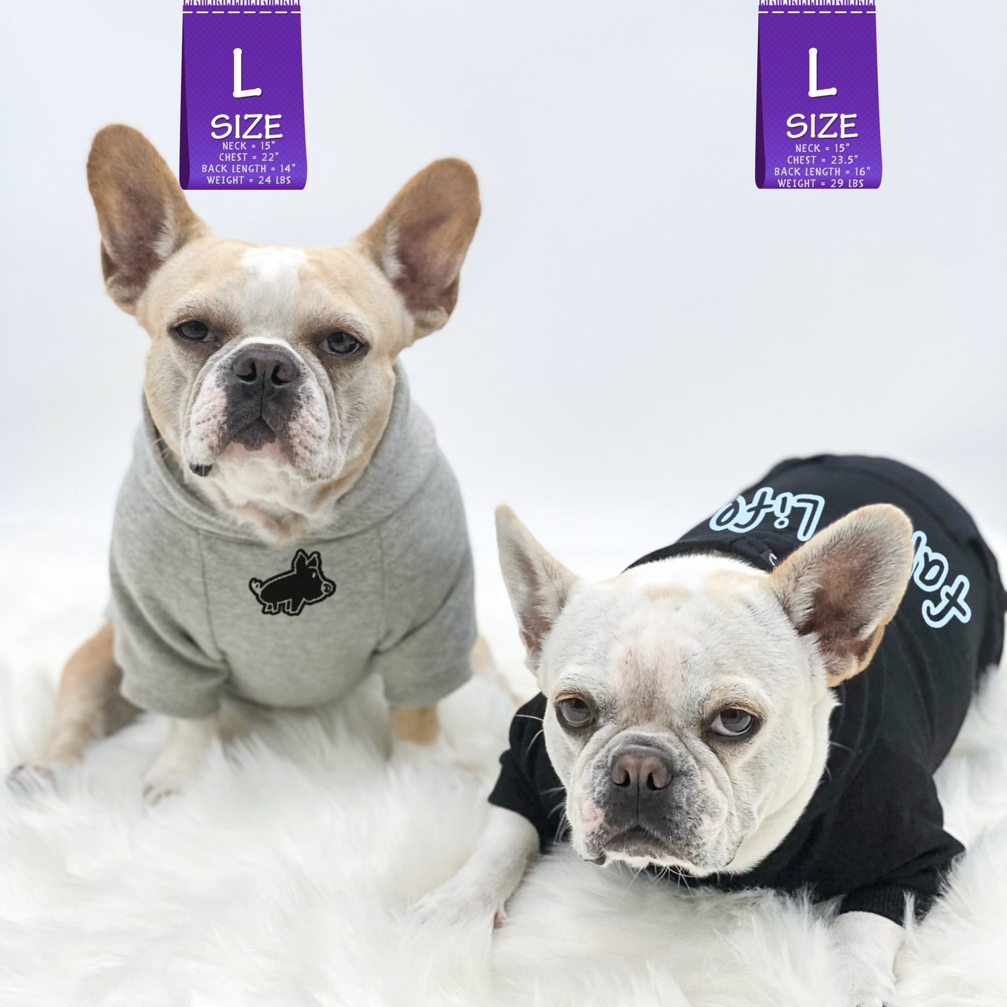 Dog Hoodie - Hoodies For Dogs - Two French Bulldogs wearing &quot;Farm Life&quot; dog hoodies in black and gray - one sitting up and one laying down - front view with cute pig - against a solid white background - Wag Trendz