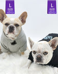 Dog Hoodie - Hoodies For Dogs - Two French Bulldogs wearing "Farm Life" dog hoodies in black and gray - one sitting up and one laying down - front view with cute pig - against a solid white background - Wag Trendz
